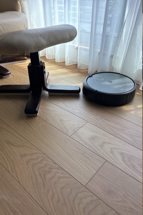 roombable6.jpg
